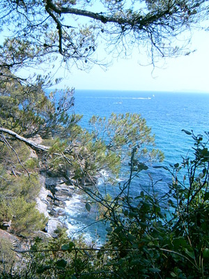 La mer vue depuis les jardins du Domaine du Rayol (7 Août 2004)