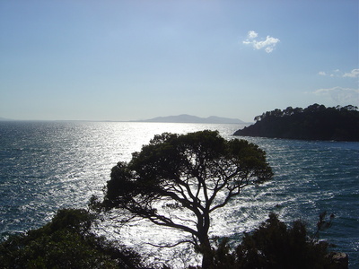 Aux abords le plage de l’Estagnol (Bormes les Mimosas, 13 Août 2004)