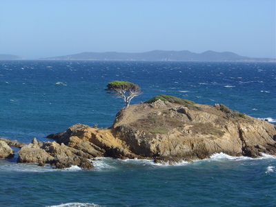 Aux abords le plage de l’Estagnol (Bormes les Mimosas, 13 Août 2004)