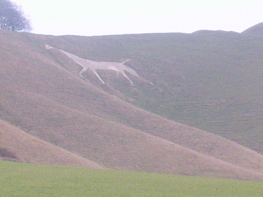 Cherhill White horse (UK, 31 Octobre 2004)