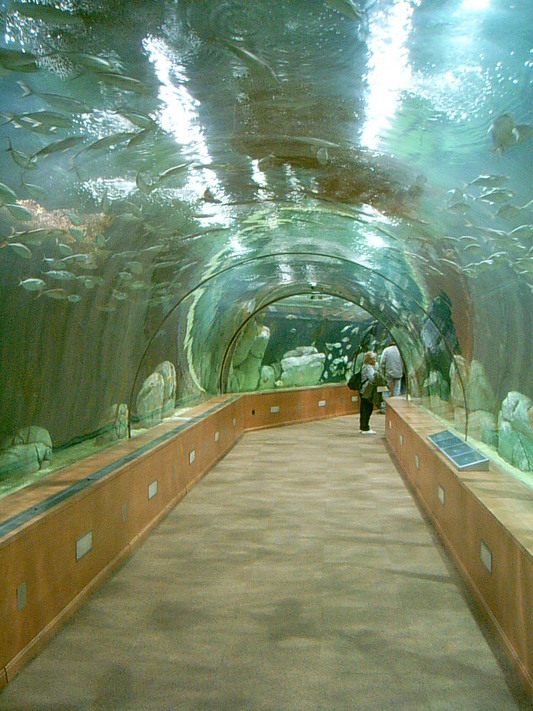 Couloir de l’aquarium (Oceanografic de Valencia, 12 Novembre 2004)