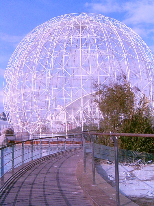 Volière de l’aquarium (Oceanografic de Valencia, 12 Novembre 2004)