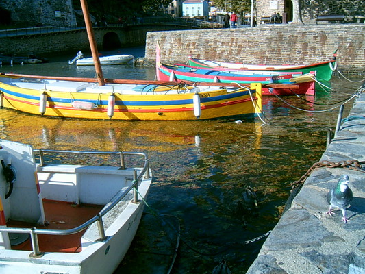Barques à quai (Collioure, 14 Novembre 2004)