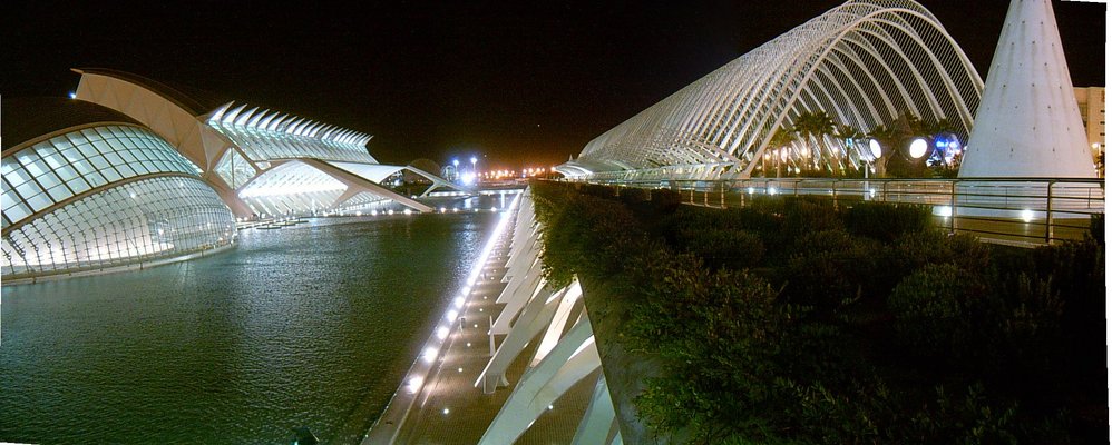 La cité des sciences (Valencia, 12 Novembre 2004)