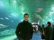 Dom dans le couloir des requins (Oceanografic de Valencia, 12 Novembre 2004)
