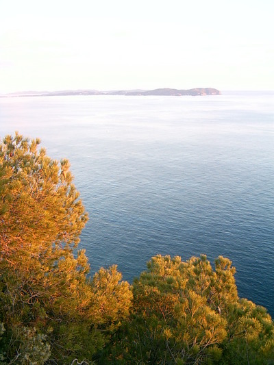 La Prequ’île de Giens vu depuis le Cap Garonne (Le Pradet, 21 Novembre 2004)
