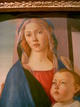 Vierge à l’Enfant, Sandro Botticelli, c. 1490(Fogg Art Museum, Cambridge, 28 Novembre 2004)