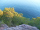 Vue plongeant sur la mer au Cap Garonne (Le Pradet, 21 Novembre 2004)