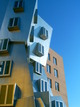 Vue sur le Stata Center depuis la terrasse du 5ème étage (Cambridge, 4 Décembre 2004)