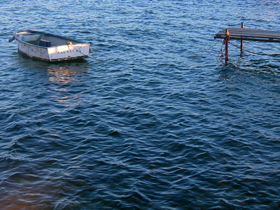 Nausicaa (La Seyne sur Mer, 22 Janvier 2005)