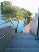 Descente vers la mer (Sanary-sur-Mer, 12 Décembre 2004)