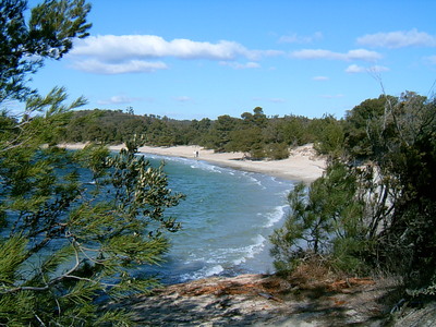 Plage du Pellegrin (Bormes les Mimosas, 13 Février 2005)