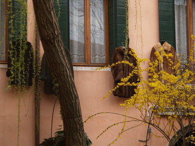 Même les manteaux de fourrures sont suspendus aux fenêtres vénitiennes (Venise, 29 Mars 2005)