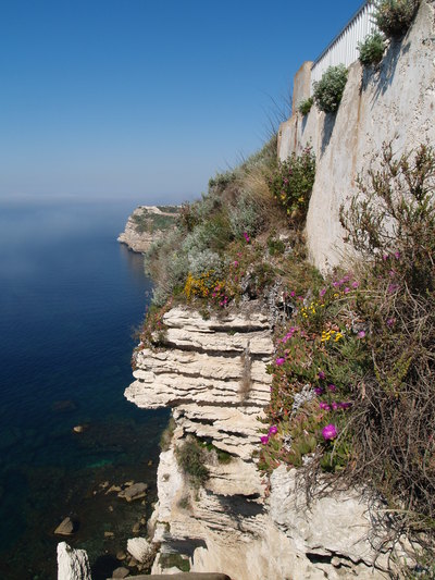 Falaises de Bonifacio (Corse, 1er Mai 2005)