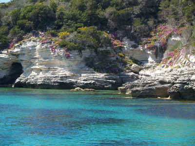 Calanche de Bonifacio (Corse, 1er Mai 2005)