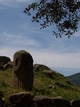 Menhir sculpté (Filitosa, 2 Mai 2005)