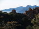 Les calanche de Piana (Corse, 2 Mai 2005)