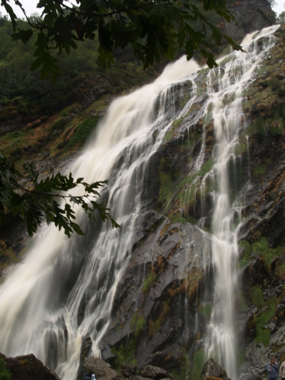 Powercourt Waterfall (Comté de Wicklow, 30 juillet 2005)