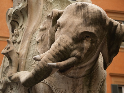  L’éléphant obélisque de la place della Minerva (Rome,  7 octobre 2005)
