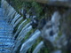  Allée des cent fontaines à la villa d’Este (Tivoli, 9 octobre 2005)