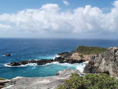 La pointe des colibris