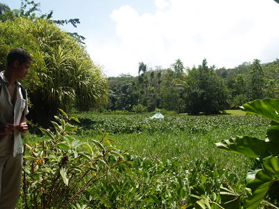  Dom dans le jardin d’eau à Goyave (22 mars 2006)