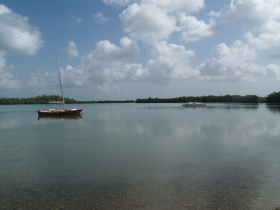  Mangrove et bateaux sur le port de Vieux-Bourg (27 mars 2006)