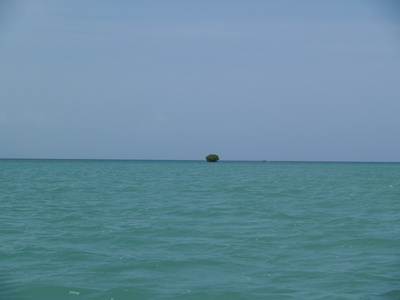  Ilot de mangrove perdu dans le lagon (Mangrove de Vieux-Bourg, 27 mars 2006)