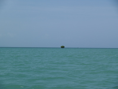  Ilot de mangrove perdu dans le lagon (Mangrove de Vieux-Bourg, 27 mars 2006)