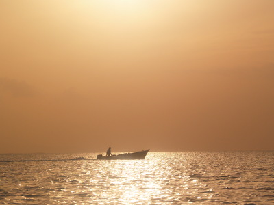  Pêcheur dans le lagon (Mangrove de Petit-Canal, 27 mars 2006)
