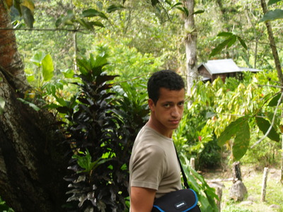  Dom (Plantation de la Grivelière, Vieux-Habitants, 28 mars 2006)