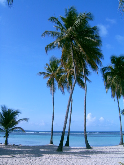  La plage de Sainte-Anne (20 mars 2006)