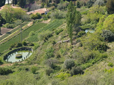  Bassin en contrebas d’Evenos (Evenos, 23 avril 2006)