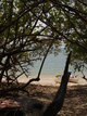  Pause déjeuner sur un îlet du lagon (Mangrove de Petit-Canal, 27 mars 2006)