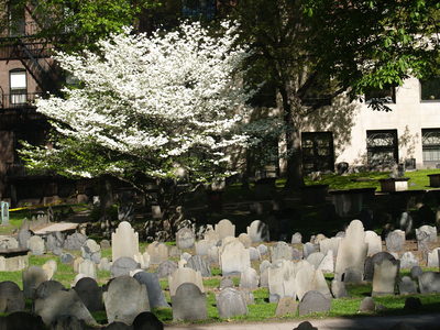  Cimetière de Tremont Street (Boston, 7 mai 2006)