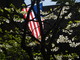  Drapeau américan à l’Old City Hall (Boston, 7 mai 2006)