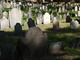  Cimetière de Tremont Street (Boston, 7 mai 2006)