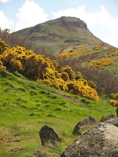  Arthur’s seat (27 mai 2006)