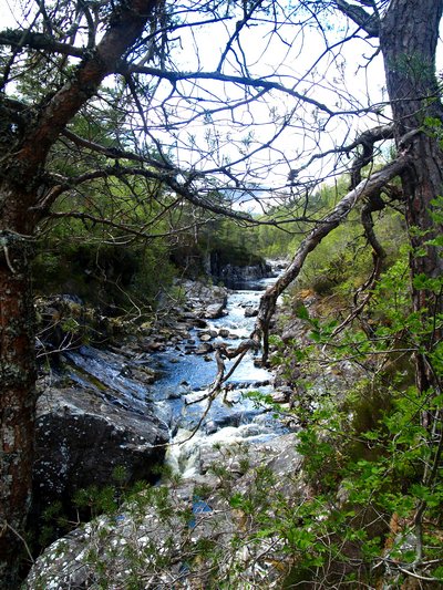  Glen Affric (30 mai 2006)