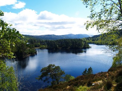  Glen Affric (30 mai 2006)