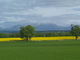  En route vers l’île de Skye (31 mai 2006)