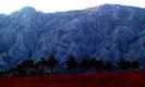  Concert en hommage à Cézanne dans les carrières de Bibémus, au pied de la Sainte-Victoire (Puyloubier, 5 juillet 2006)