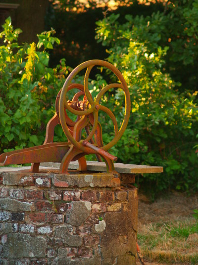  Le puits du jardin (17 juillet 2006)