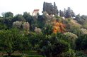  Le temple de Castor et Pollux aperçu depuis le jardin de Kolymbreta (Vallée des Temples, Agrigente, 16 octobre 2006)
