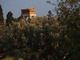  Le temple de Castor et Pollux (Vallée des Temples, Agrigente, 16 octobre 2006)
