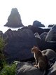  Les rochers du Cyclope surveillé par un chat, à Aci Trezza (21 octobre 2006)