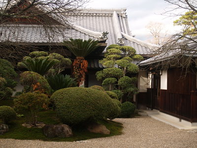  Cour d’un templte (Nara, 10 décembre 2006)