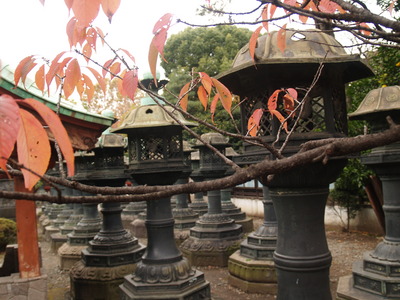  Lanternes de bronze du Temple de Ueno (Tokyo, 26 novembre 2006)