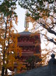  Pagode d’Asakusa (Tokyo, 2 décembre 2006)