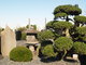 Cimetière de Yanaka (Tokyo, 4 décembre 2006)